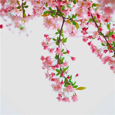 168极速赛车平台